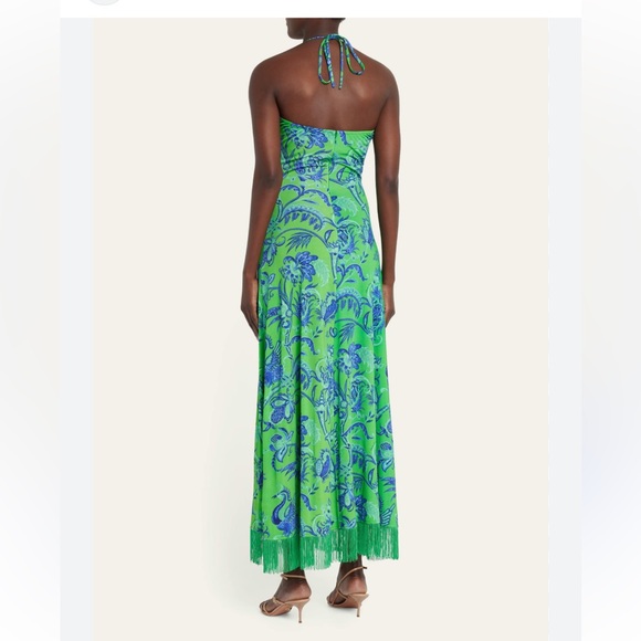 Cara Cara shelter island fringe dress - Picture 3 of 3